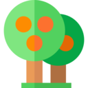 ecology and environment,ecology,nature,botanical,tree,gardening,garden,yard,fruit tree,tree fruit